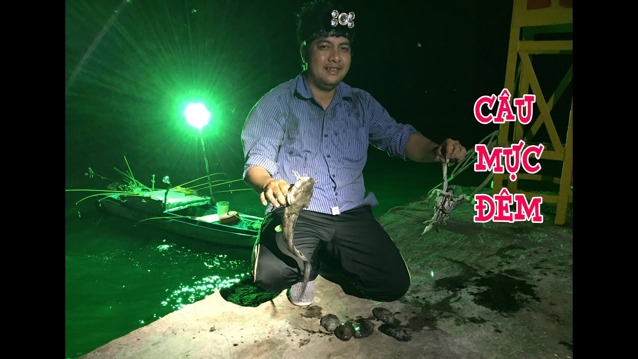 Câu mực đêm trên trụ điện Hòn Sơn vớt mực, ghẹ mỏi hết cả tay