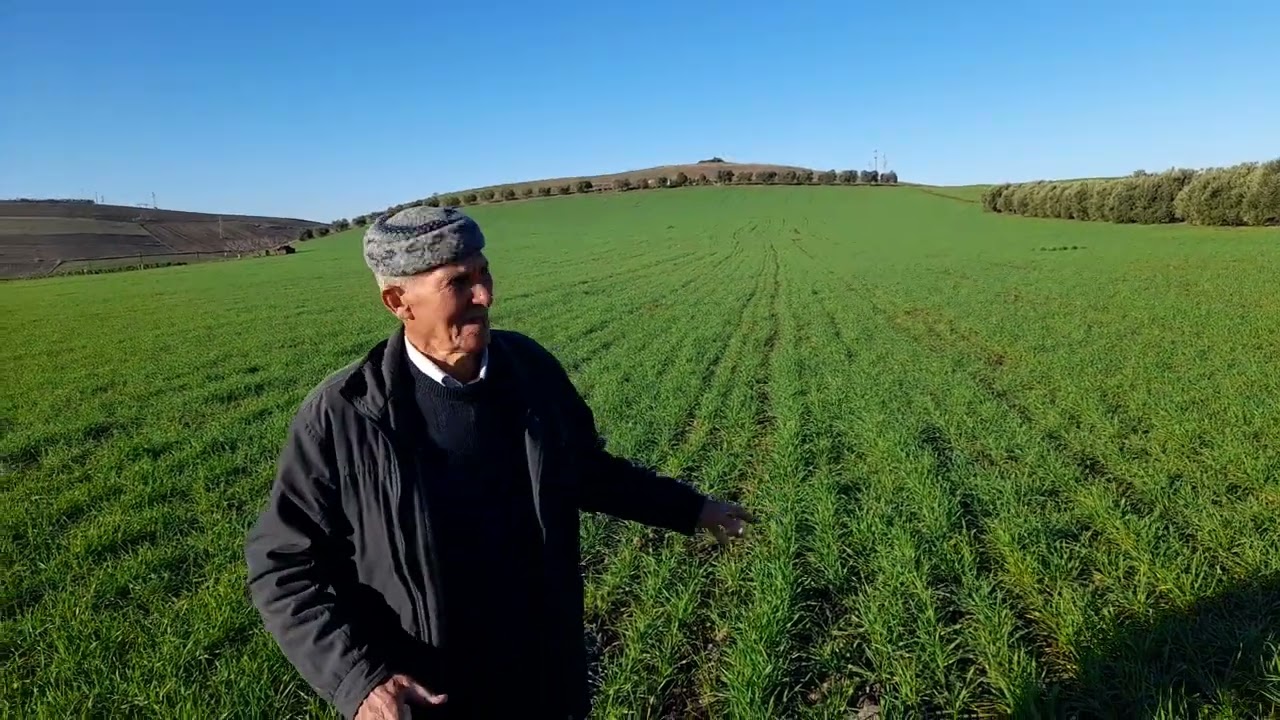 06 février 2023 kihal زيارة تقنية داخل مزرعة بلخضر الجيلالي