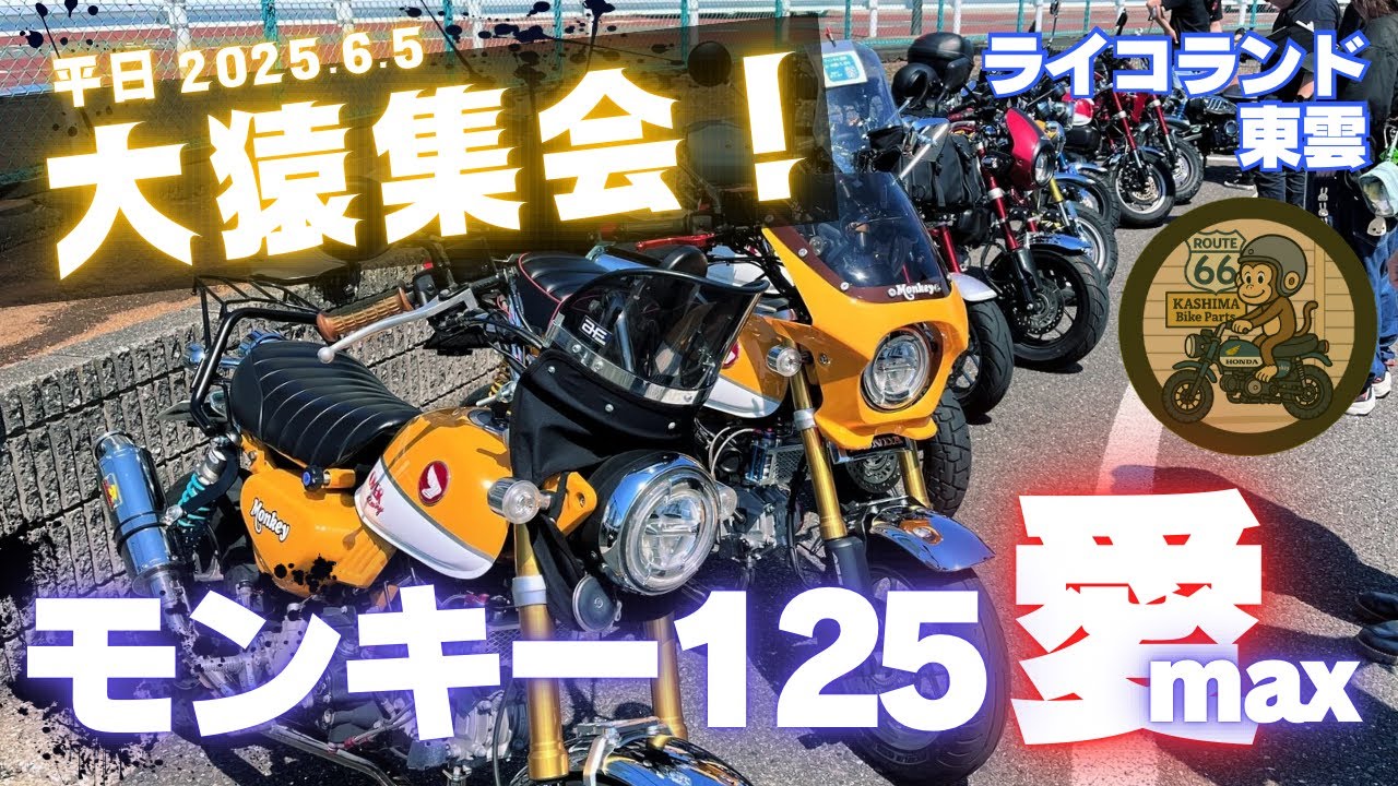平日大猿集会inライコランド東雲に初参加