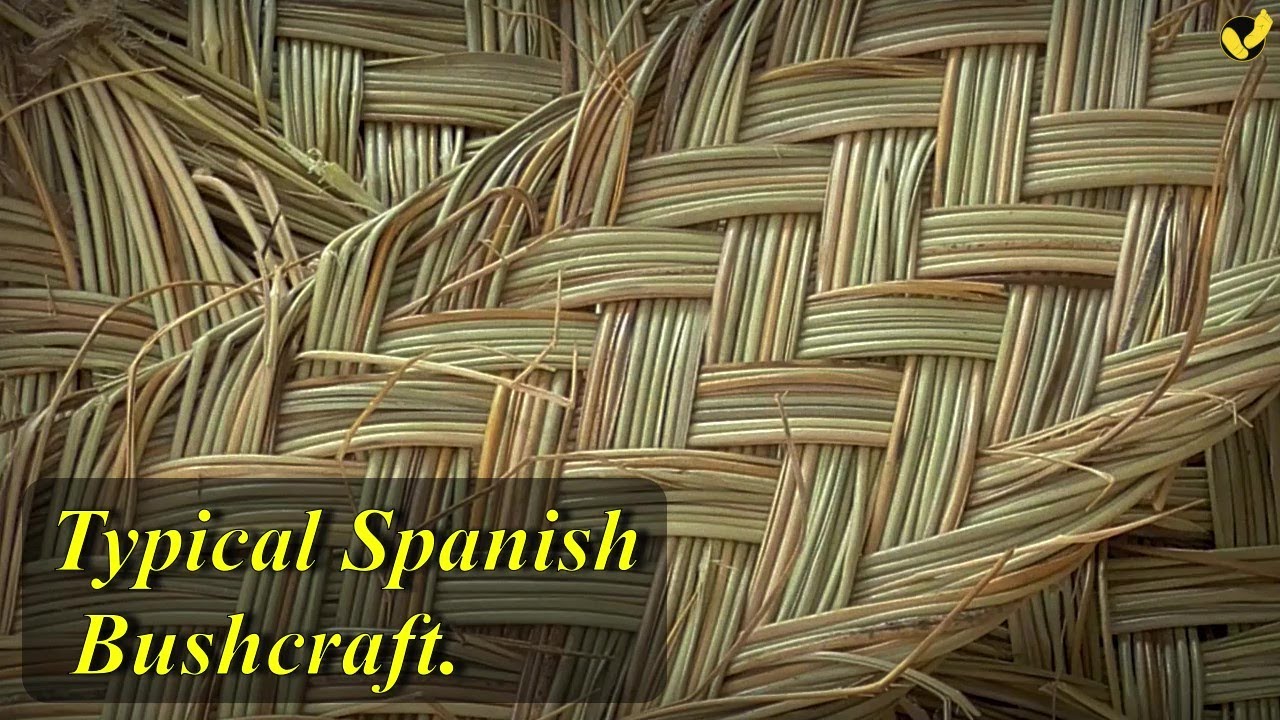 Pleita de esparto de 15 ramales / how to weave a braid of 15 branches from esparto grass./ bushcraft