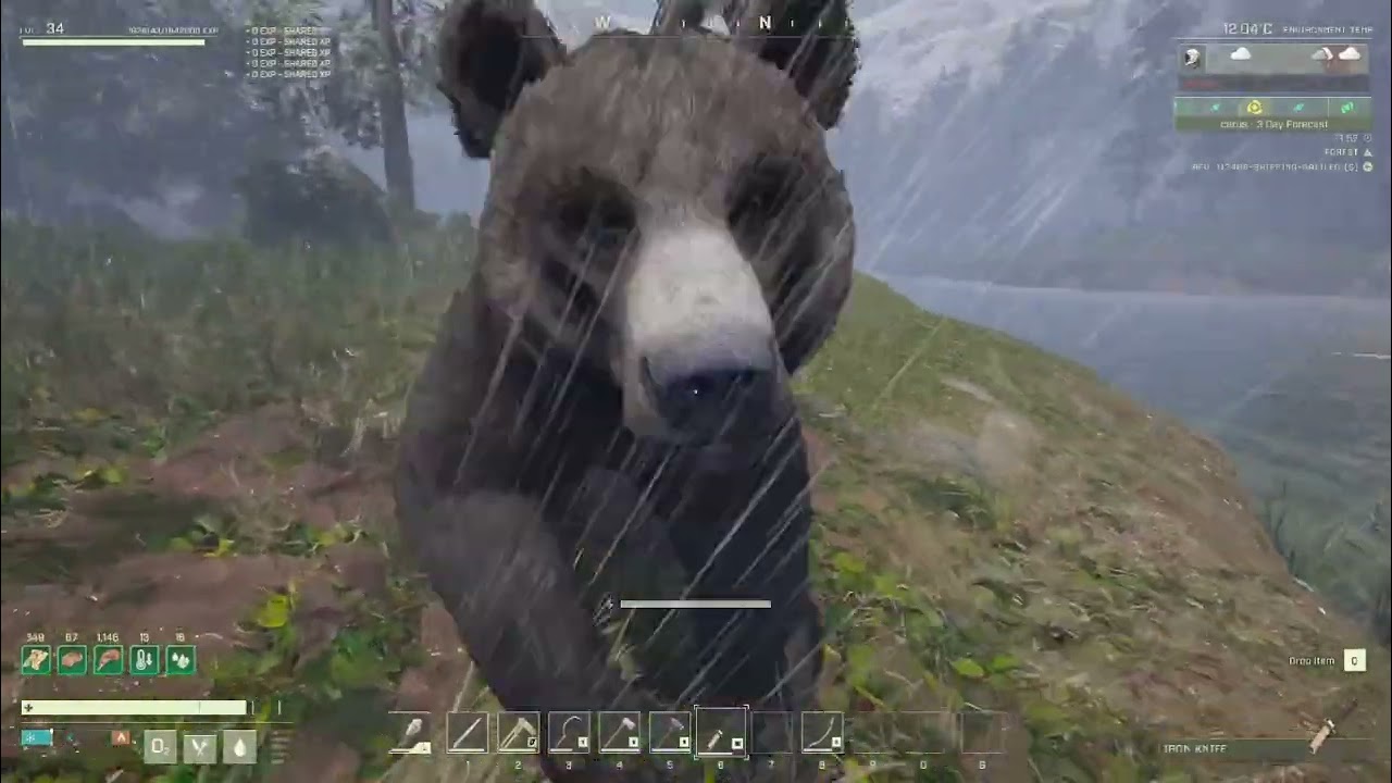 Highlight: Outpost Fun with Bears