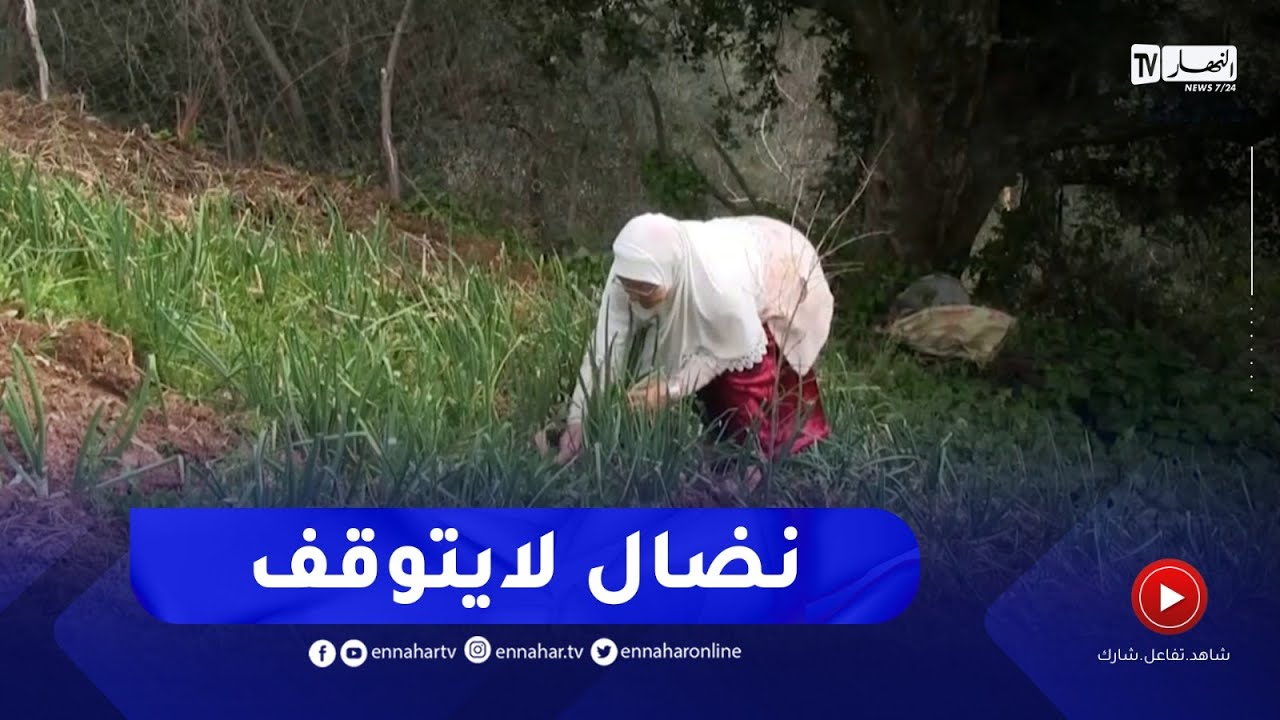 جيجل : المرأة الريفية..مثال المرأة الجزائرية في التحدي و العطاء