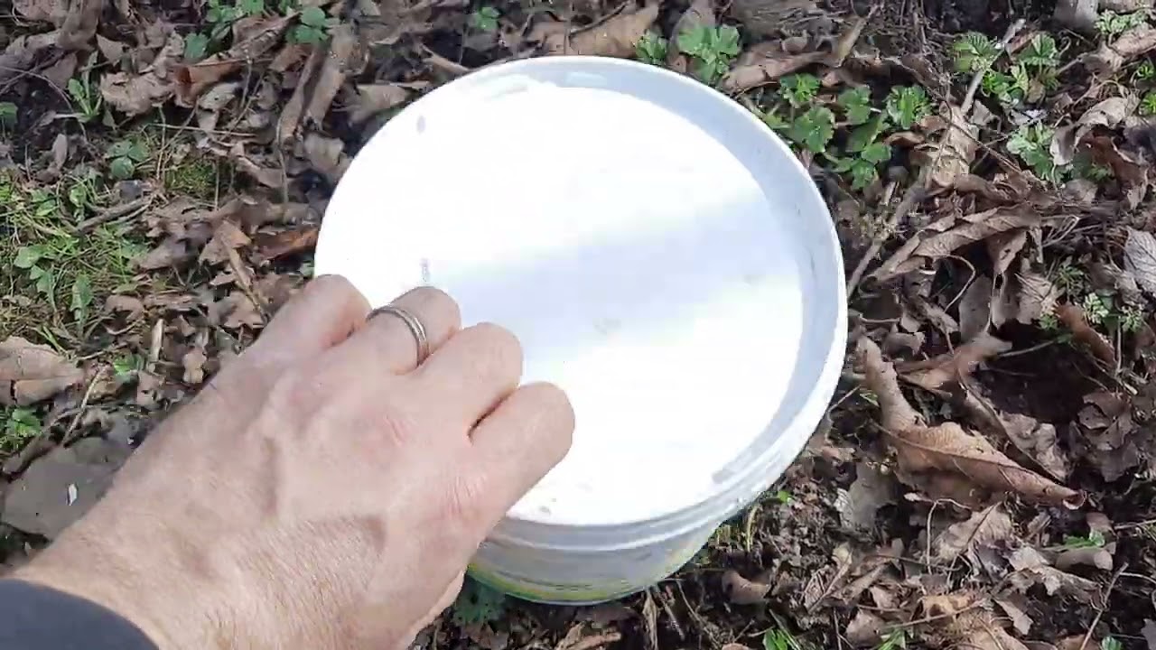 Traitement des arbres fruitiers au blanc arboricole.