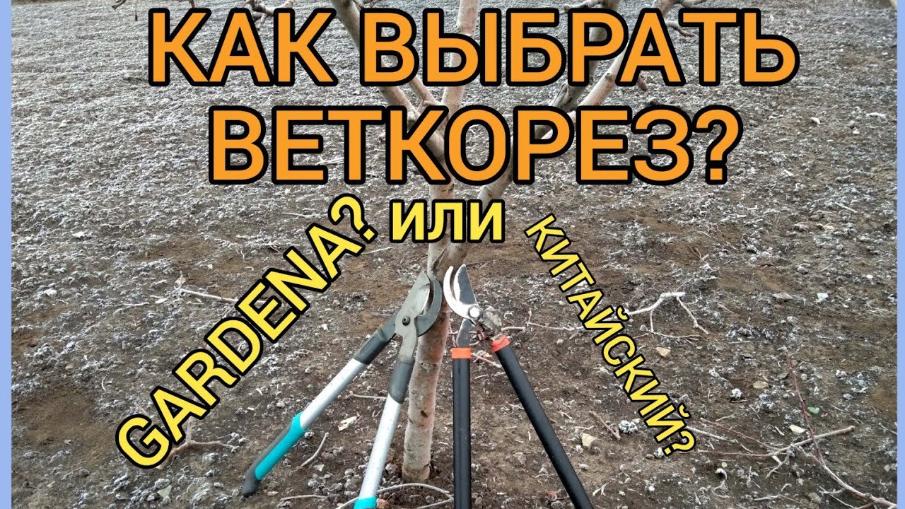 КАК ВЫБРАТЬ СУЧКОРЕЗ ДЛЯ САДА? Gardena или китайский аналог. ВАЖНЫЕ МОМЕНТЫ!