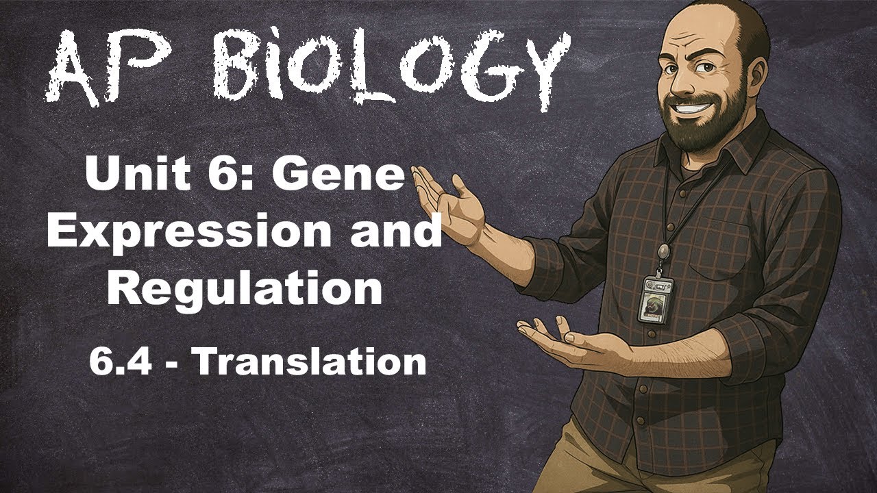 AP Bio, Раздел 6 – Тема 6.4 – Перевод