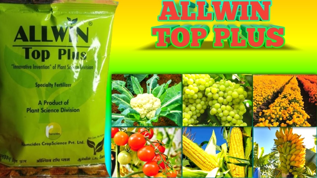 Allwin top plus kon Sai fasal mai parta hai | esk Dose Or Price Kya Hai 
