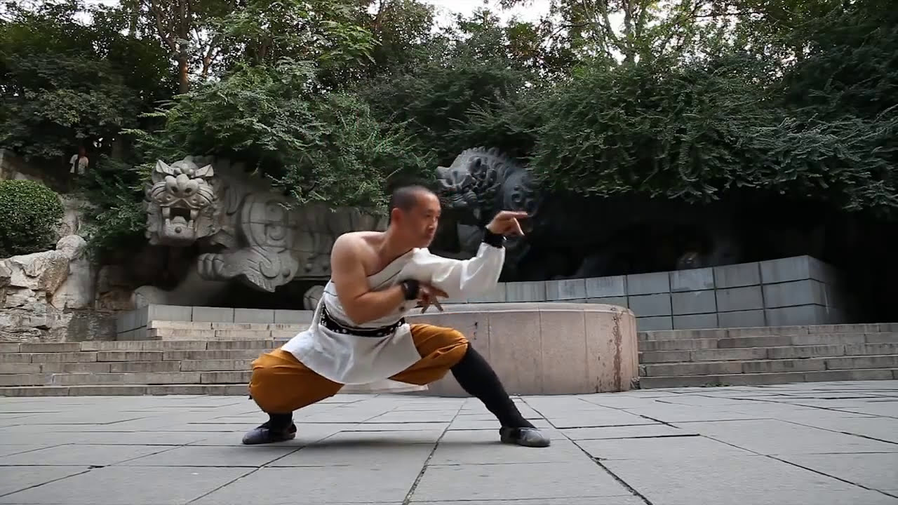 SHAOLIN KUNG FU BERLIN | Shi Yan Lin