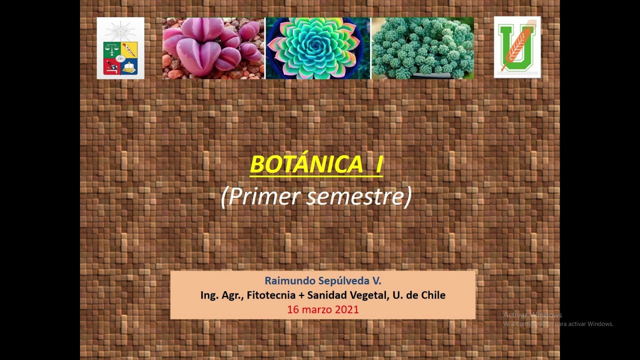 Botánica 1 (Introducción)