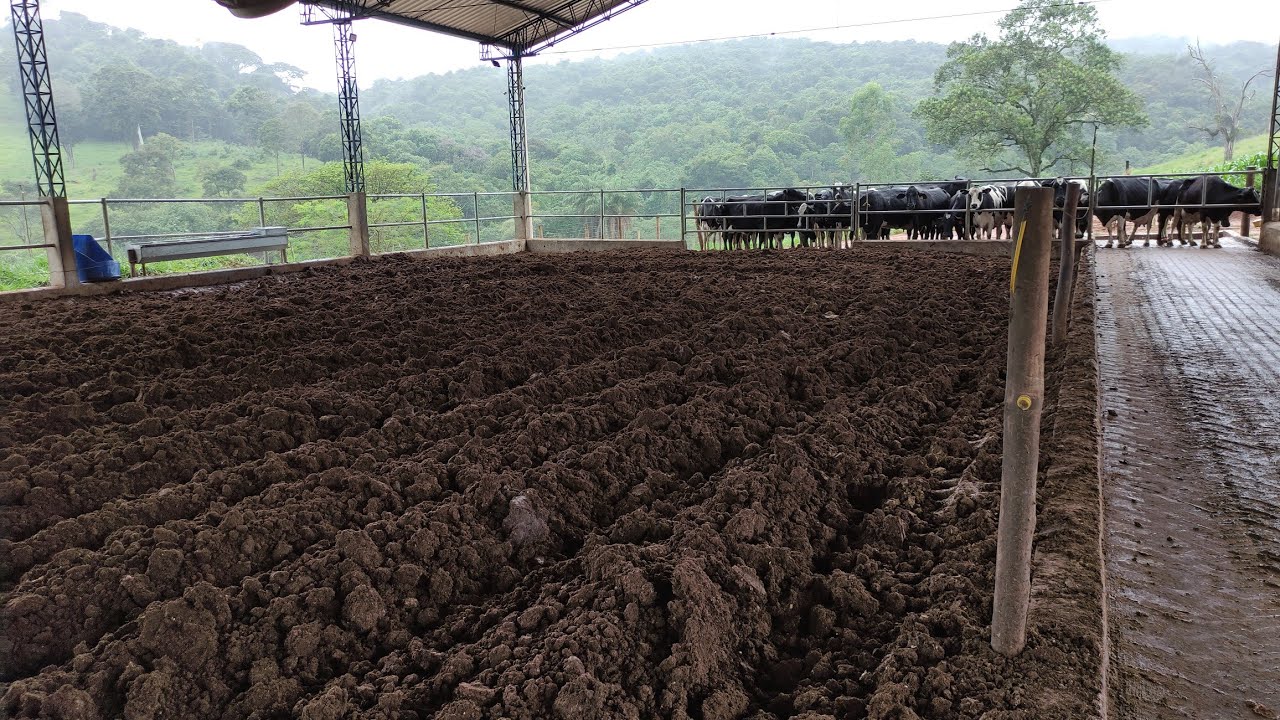 Muita chuva, como tá a cama no Compost Bar??