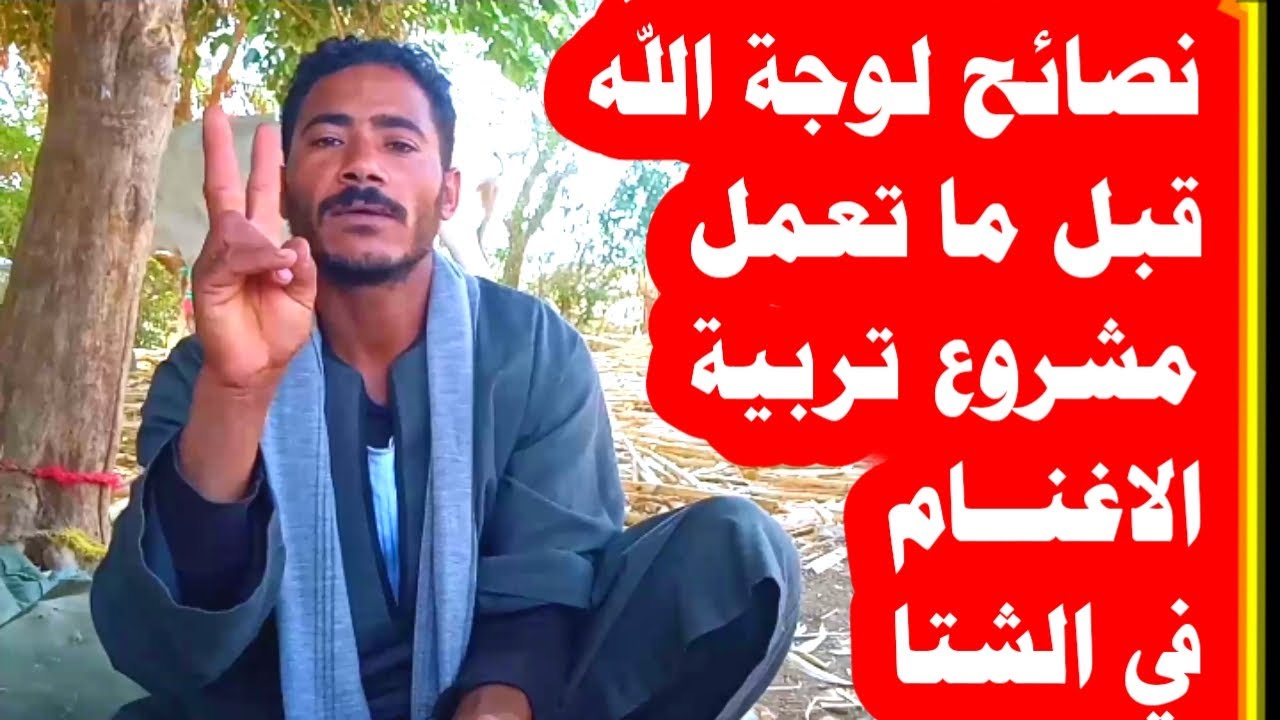 نصيحة لوجه الله /قبل ما تعمل مشروع تربية الاغنام والماعز في الشتا لازم تشوف الفيديو ده