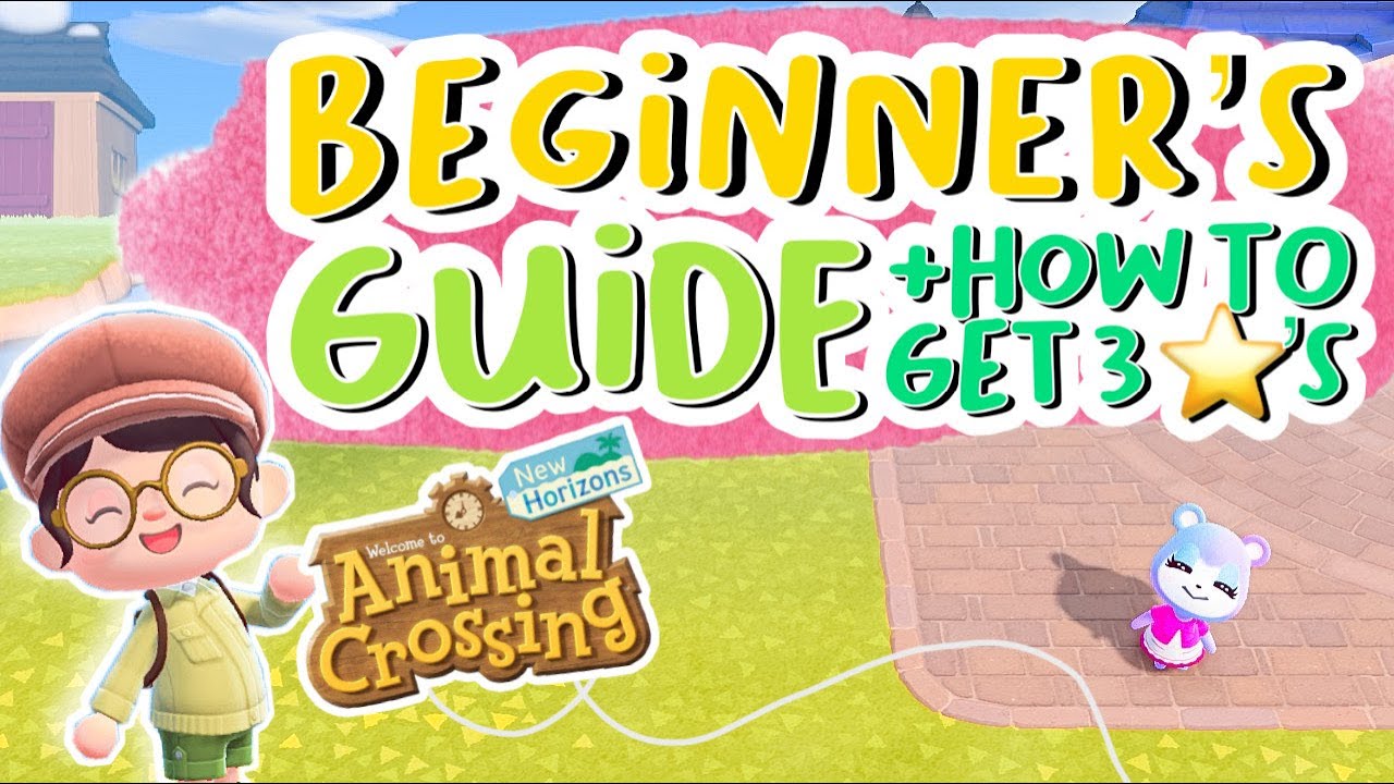 Beginner's Guide + How to Reach 3 Stars⭐// Animal Crossing New Horizons