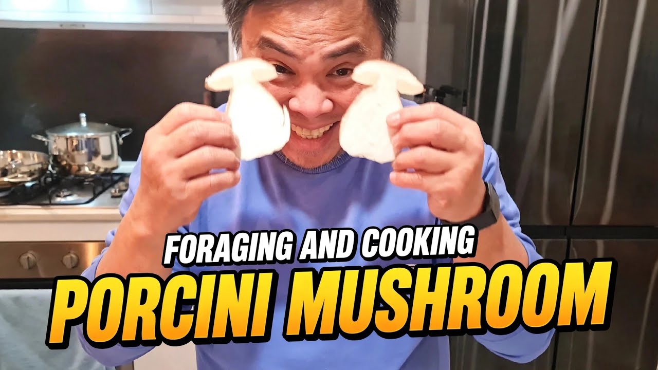 Foraging and cooking Porcini Mushroom. Creamy Wild Mushroom Ragu Pasta.