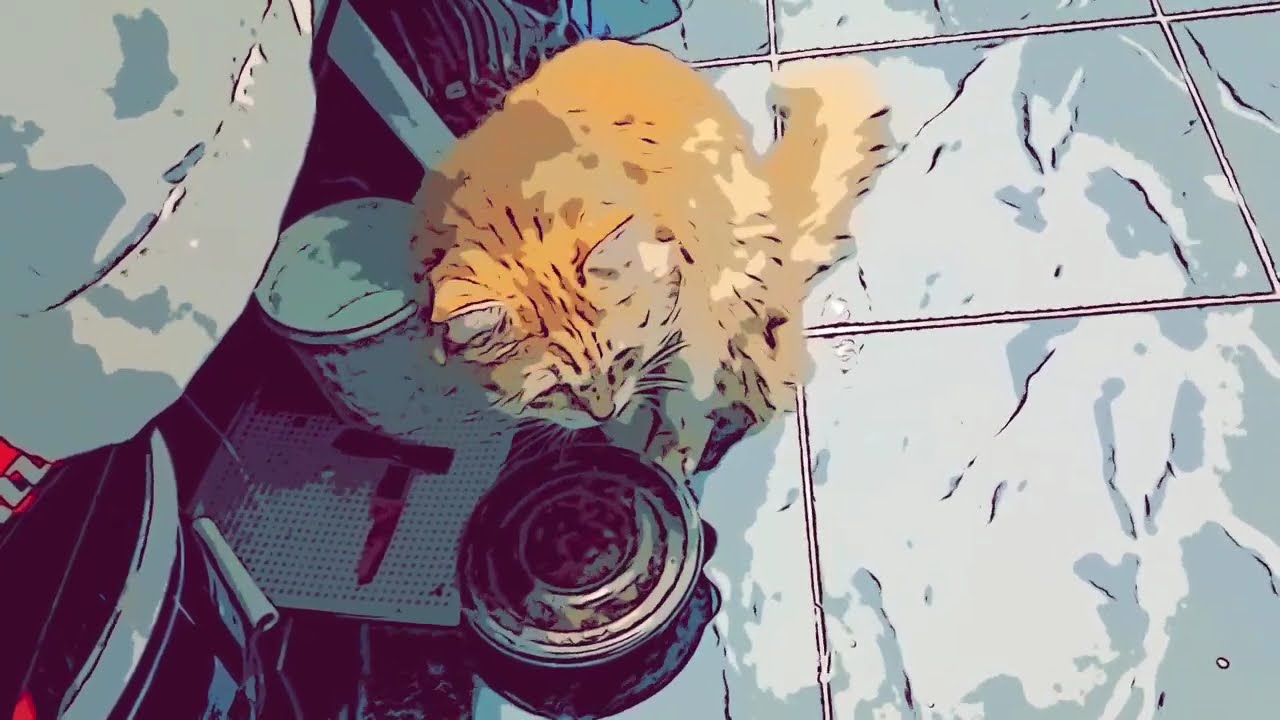 This is a comic, this is a cartoon, this is a manga: How my cat is learning to open the lid on the p