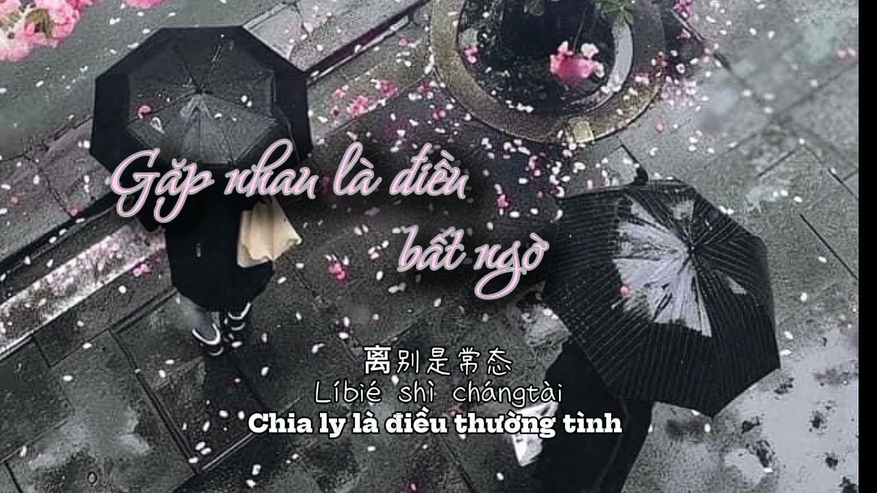 [ Vietsub + pinyin ] Gặp nhau là điều bất ngờ -挞挞-