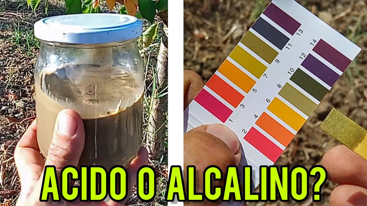 Misura il pH del tuo terreno con meno di 5 euro! [GUIDA COMPLETA]