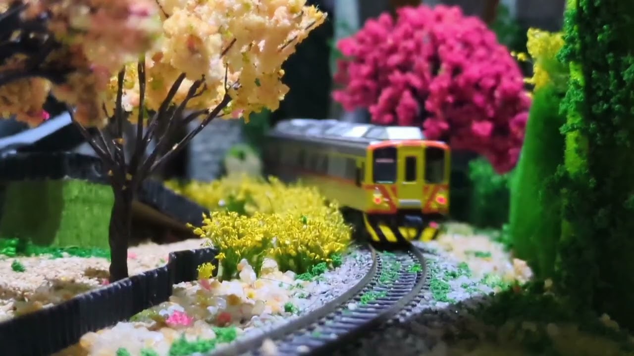 N規🗺️第一場景🚃