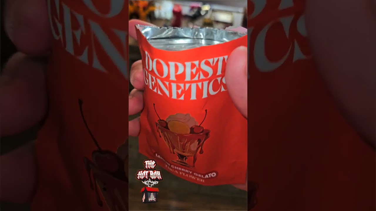 Самый крутой цветок THCA от Йолы!!! @DopeasYola