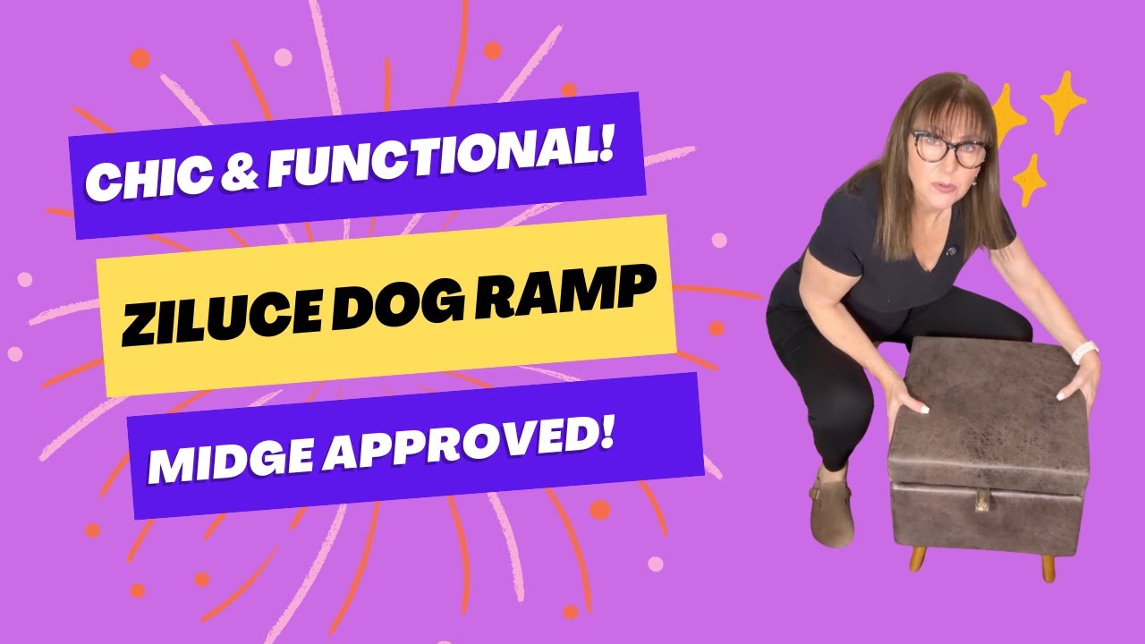 A Dog Ramp That Doubles as a Stylish Ottoman!