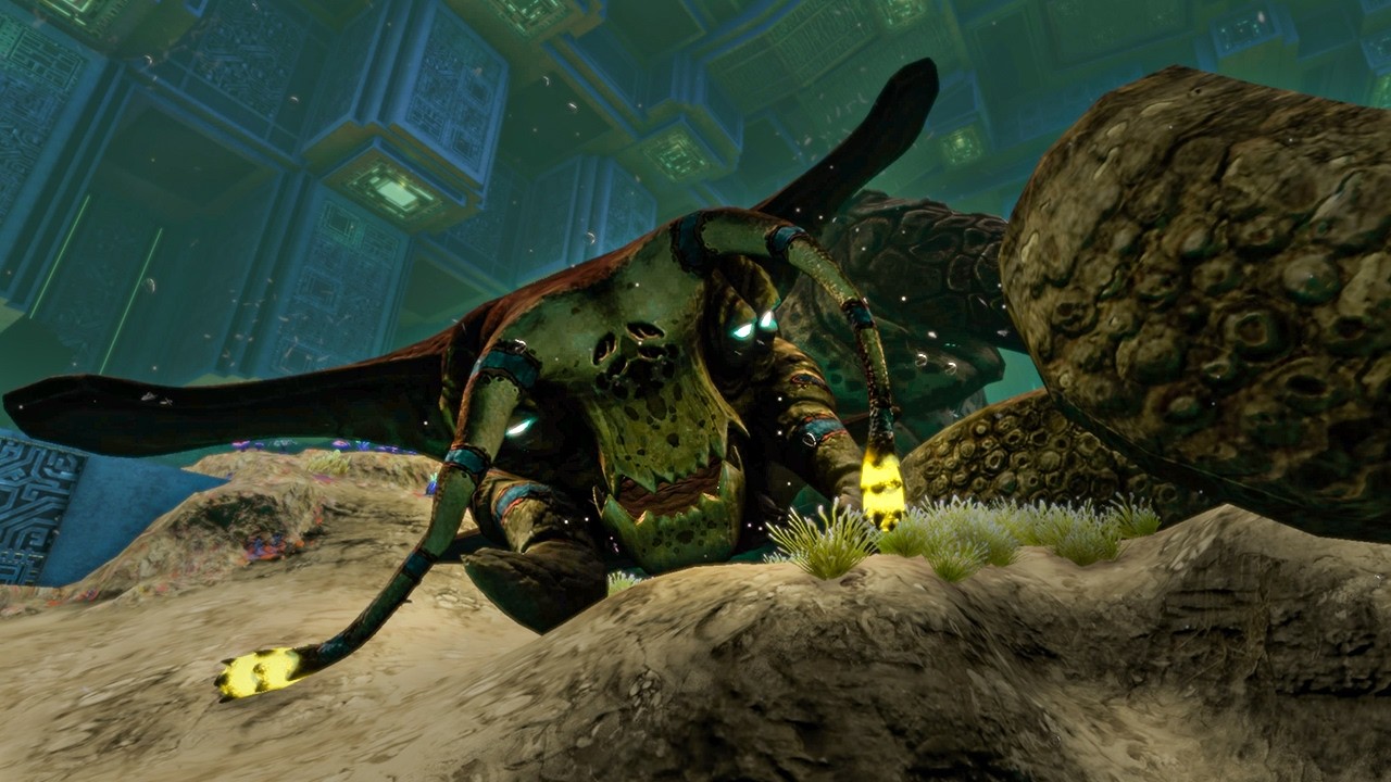 We Finally Hatched the Sea Emperor Eggs