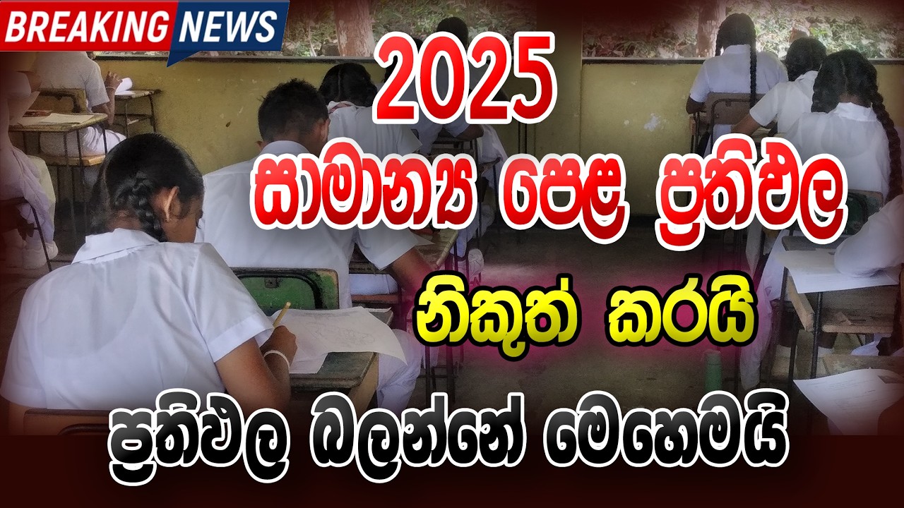 OL 2025 (2026) Results Issued | 2025 (2026) OL Results Released | 2025 සාමාන්&zwj;ය පෙළ ප්&zwj;රතිඵල