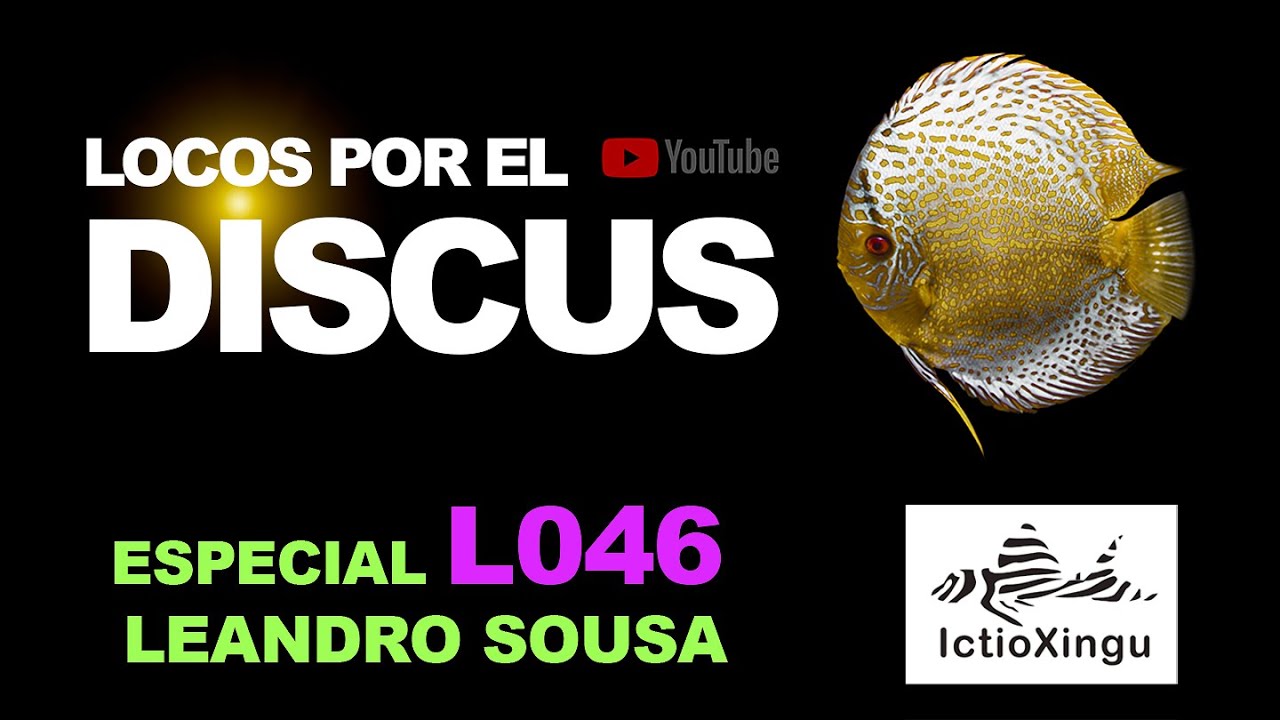 ESPECIAL LORICÁRIDOS: L046 CON LEANDRO SOUSA