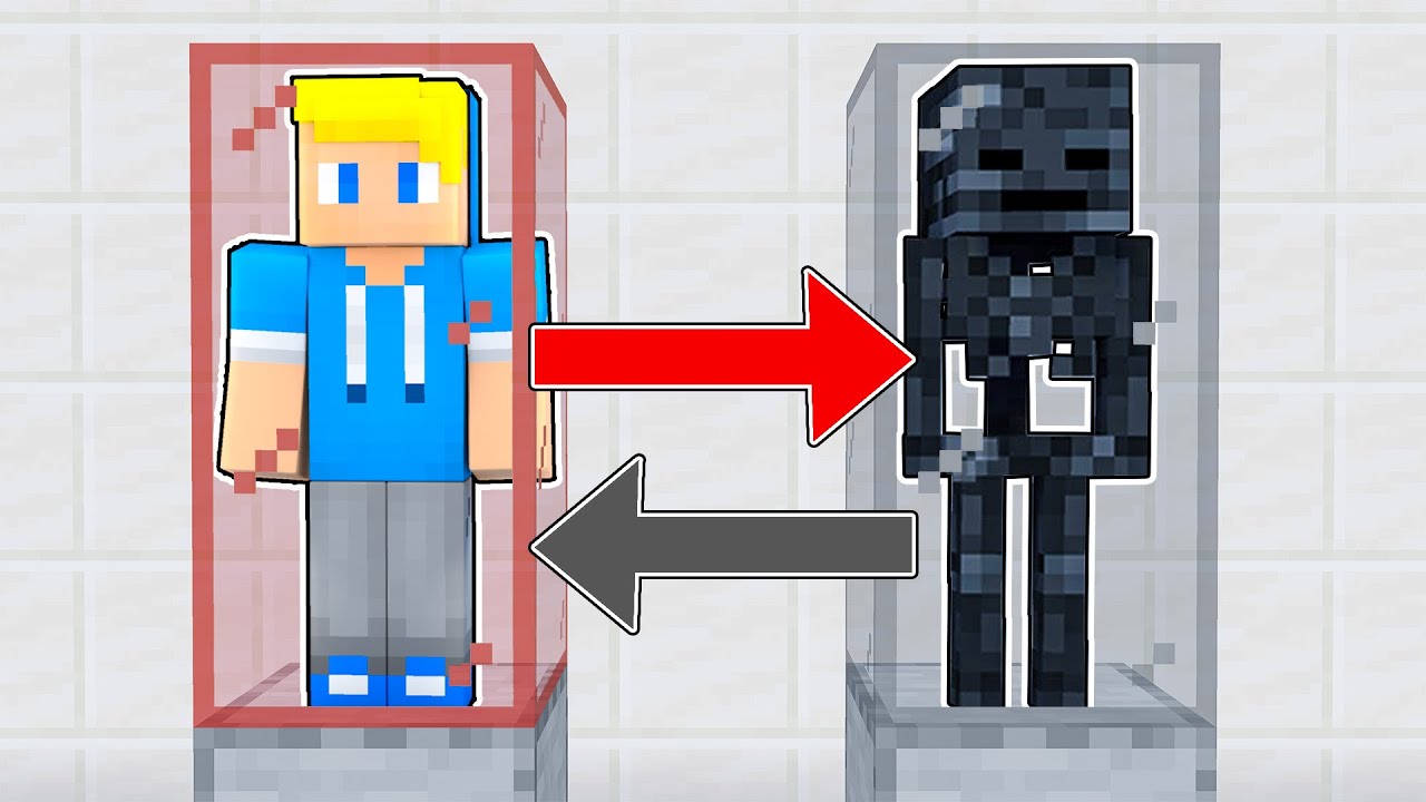 SCAMBIO CERVELLI: DIVENTO UNO SCHELETRO WITHER Su Minecraft
