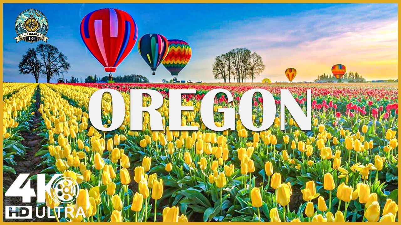 Wonders of OREGON🌞The Most Amazing Places In OREGON🌍Travel Video 4K