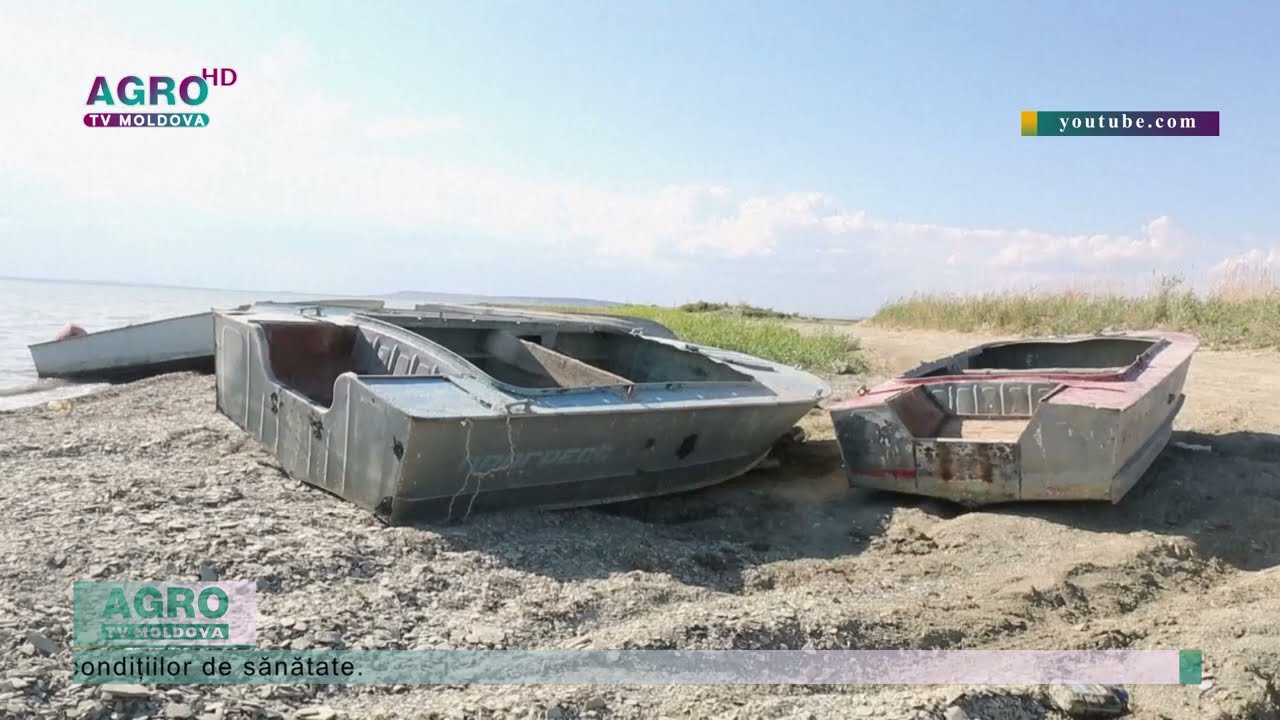MAREA ARAL PE CALE DE DISPARIȚIE-AGRO TV News
