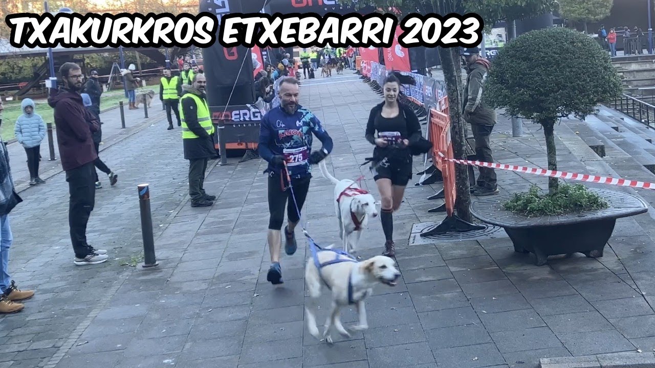 #Txakurkros #Etxebarri 2023. #Canicross. 03 Diciembre 2023.