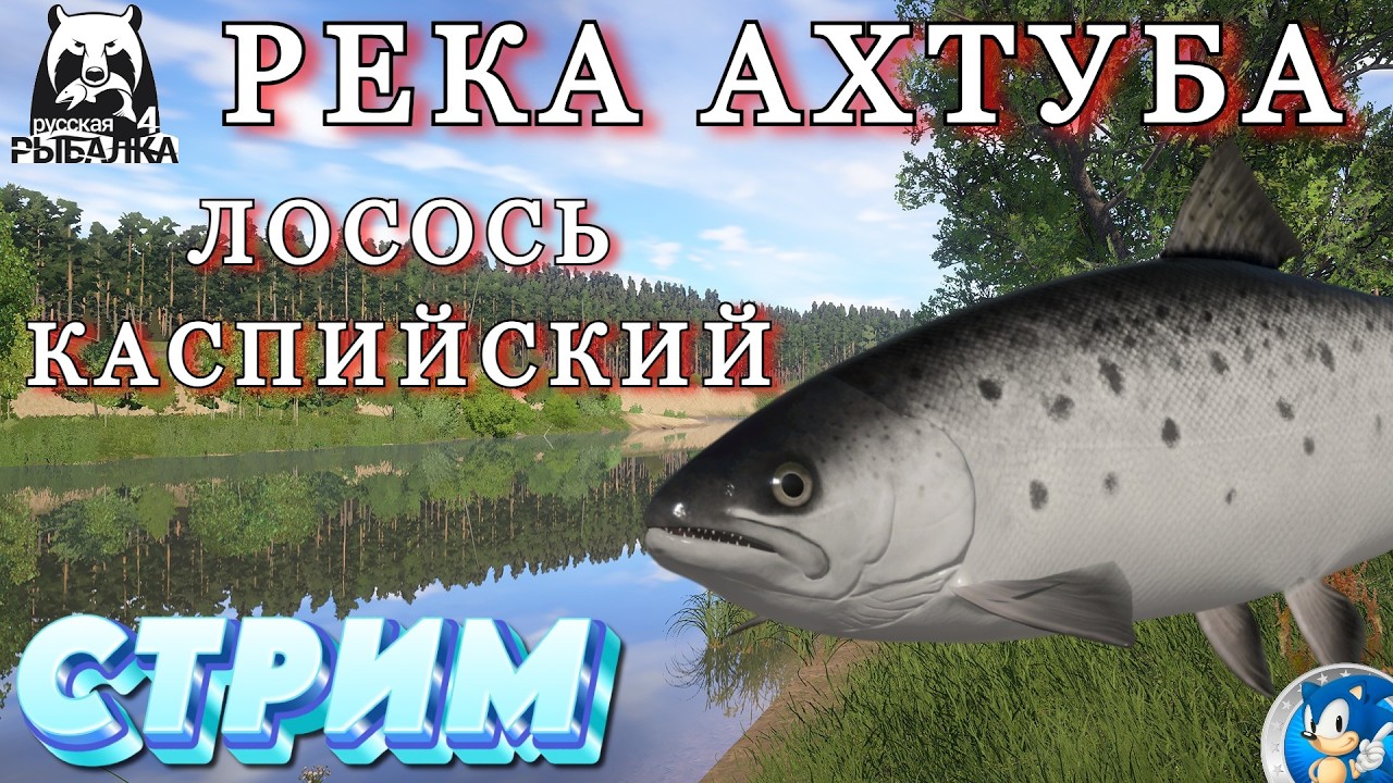 🌟ЛОСОСЬ  КАСПИЙСКИЙ🌟Русская Рыбалка 4(РР4)🌟