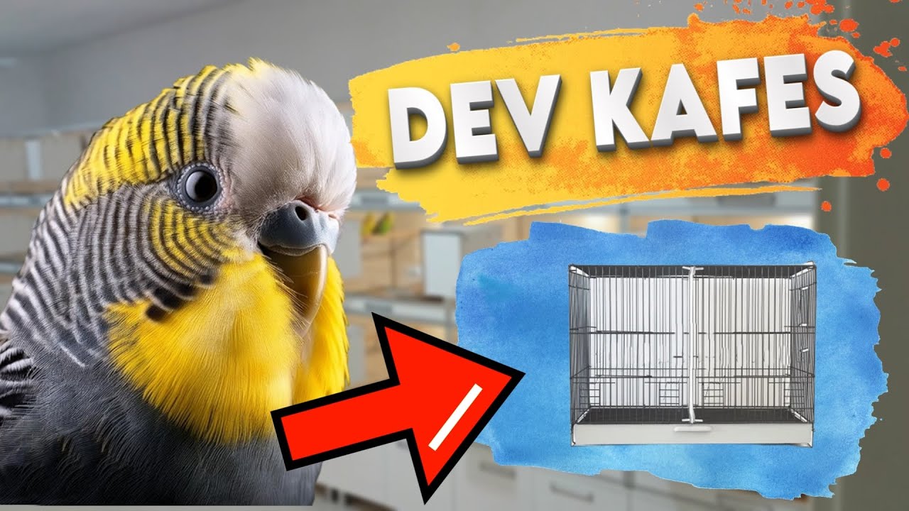 DEV ÜRETİM KAFESLERİNİ DUVARA ASTIM !!