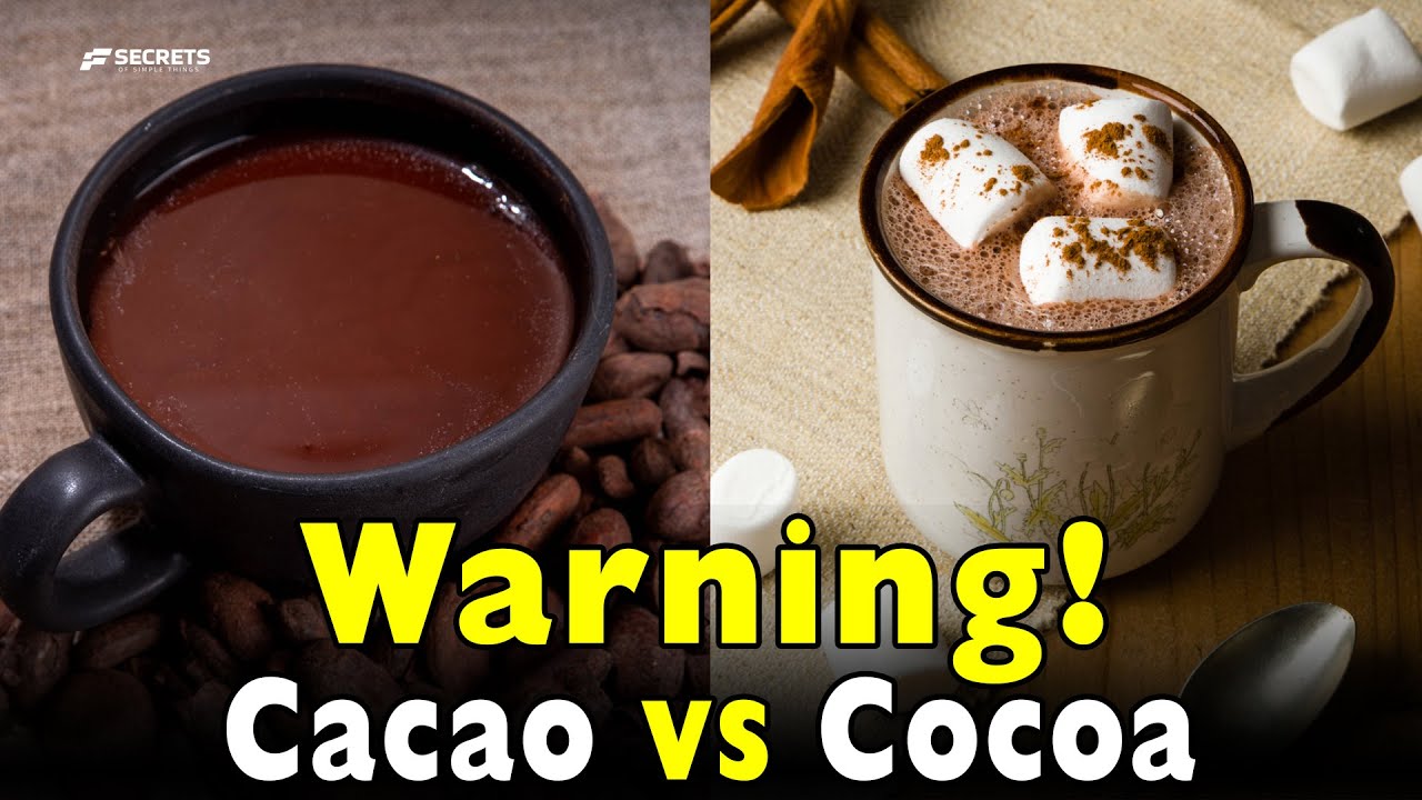 Cacao vs Cocoa Explained in 40 Minutes: The Morning Mistake You’re Making