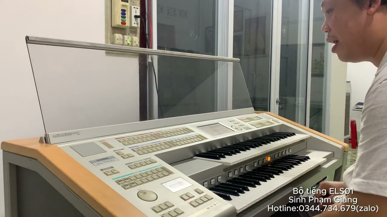 Demo ELS01 năm 2025