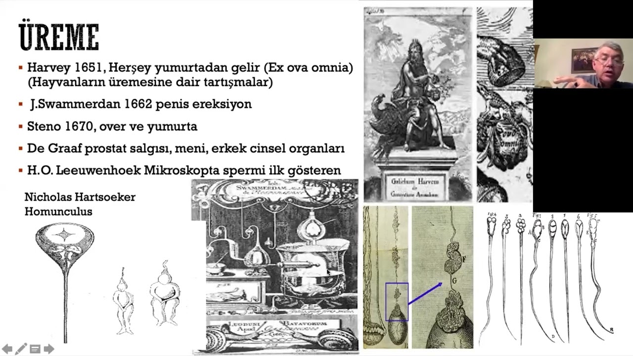 Prof. Dr. Fehmi Narter - Erkeklik, Üreme ve Testosteron