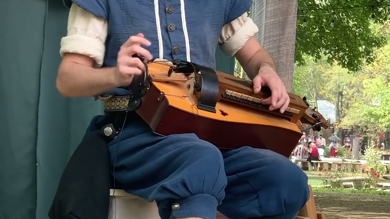 Gannat oui/Paco/Bourree de fontfrin | Hurdy Gurdy | Bard of the Old Wheel #hurdygurdy #livemusic