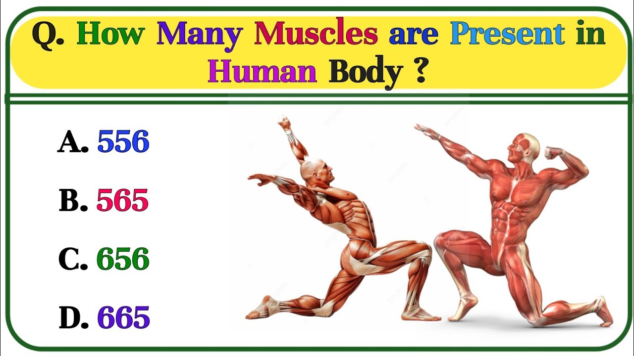 Biology GK || GK Question || GK in English || GK Question  and Answer || GK Quiz ||