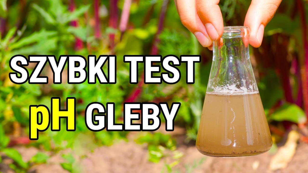 Pomiar pH gleby w 1 minutę! Porównuję 3 sposoby
