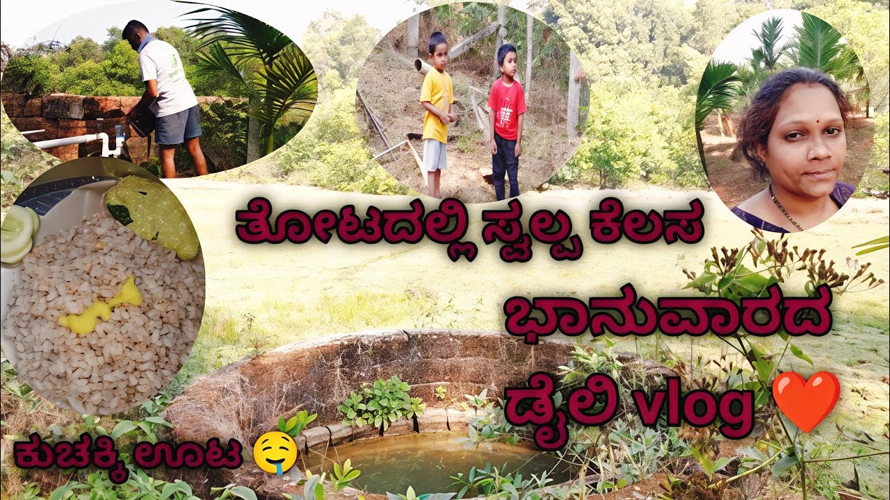ಭಾನುವಾರದ vlog❤️ತೋಟದಲಿ ಕೆಲಸ ಊಟಕ್ಕೆ ಕುಚ್ಚಕ್ಕಿ ಕೂಳು,ಎಂತಾ ಚಂದ ಮಾರ್ರೆ ಗಂಜಿ ಊಟ,ನಾನ್ ನಿಮ್ಮ ಕರಾವಳಿ ಹುಡುಗಿ❤️.