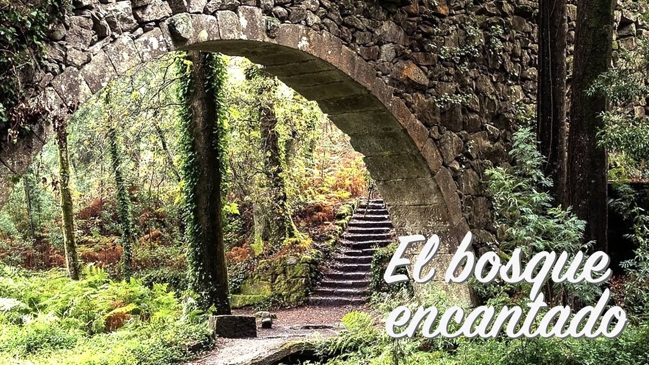 El bosque encantado de Aldán - Senderismo Galicia - Rias baixas - Solo Kiking - Backpaking - 4K HDR
