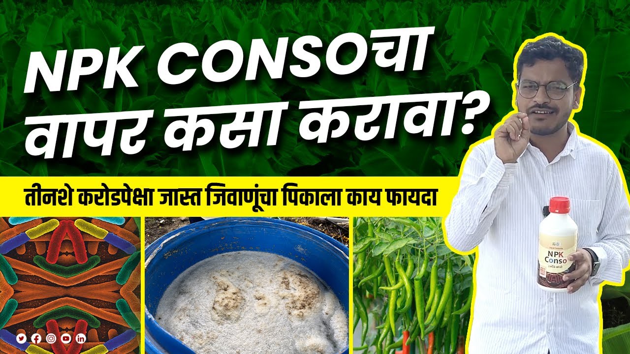 NPK Conso चा वापर कसा करावा ? NPK Conso cha vapar kasaa karava ?  #patilbiotech #digitalagriculture
