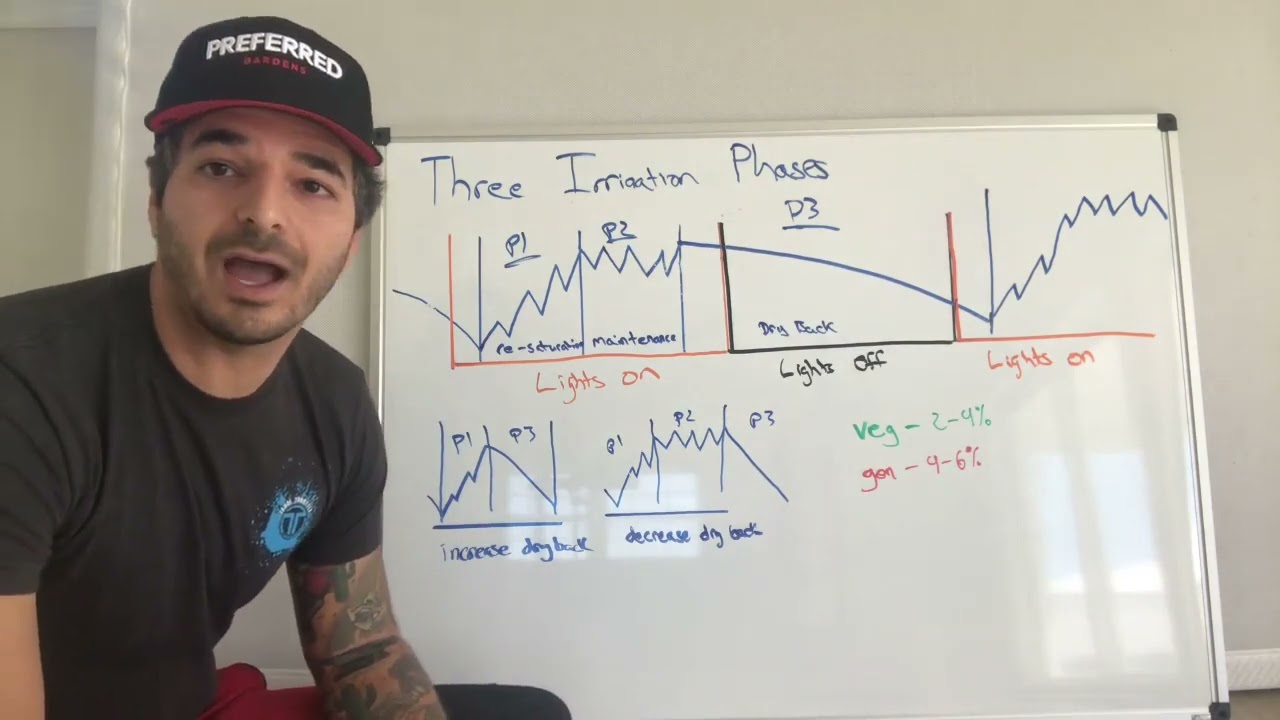 Ramsey Nubani - Crop Steering 101 - Three phases of irrigation