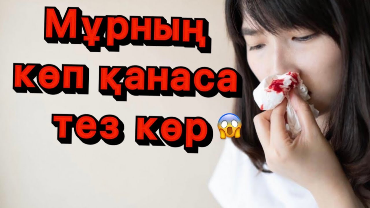 Мұрның көп қанаса тез көр