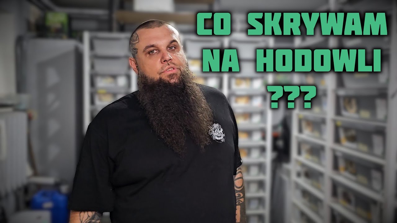 Zapraszam Was do mojej szuflandii. Top 10/holdbacki 2023/2024