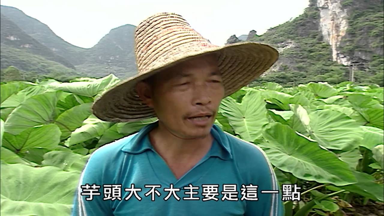 【大陸尋奇#800】桂林深度之旅(五) / 南方絲綢之旅(十一)19990815 #跟我一起 #宅在家