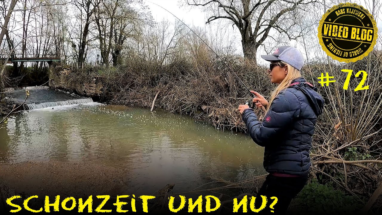Schonzeit Kollaps