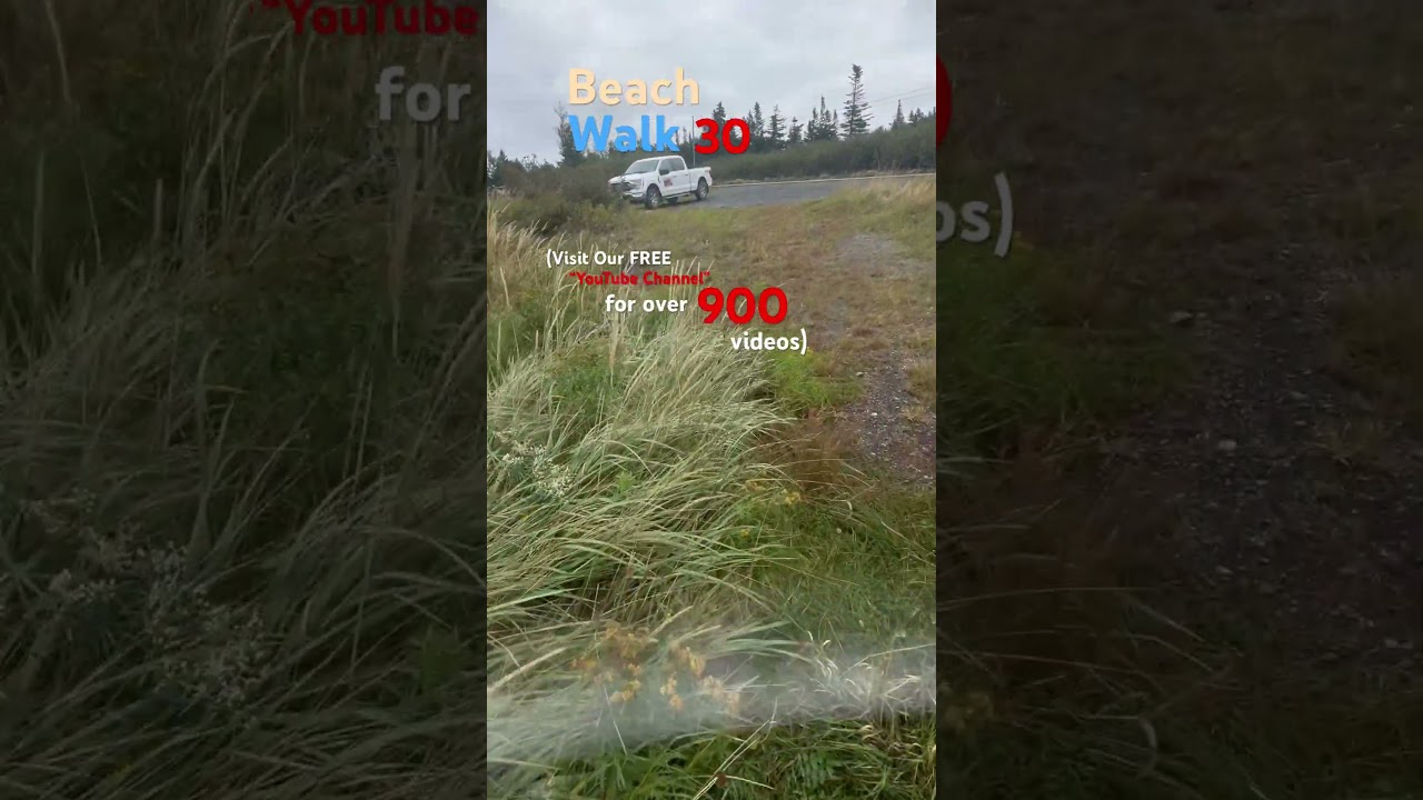 Newfoundland Beach Walk 30: We WON a Ford F-150! #WeWon #free #fordtrucks