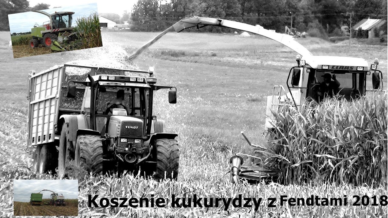 ☆Koszenie kukurydzy 2018 z fendami☆2K18☆2x Fendt☆Claas Jaguar 890☆