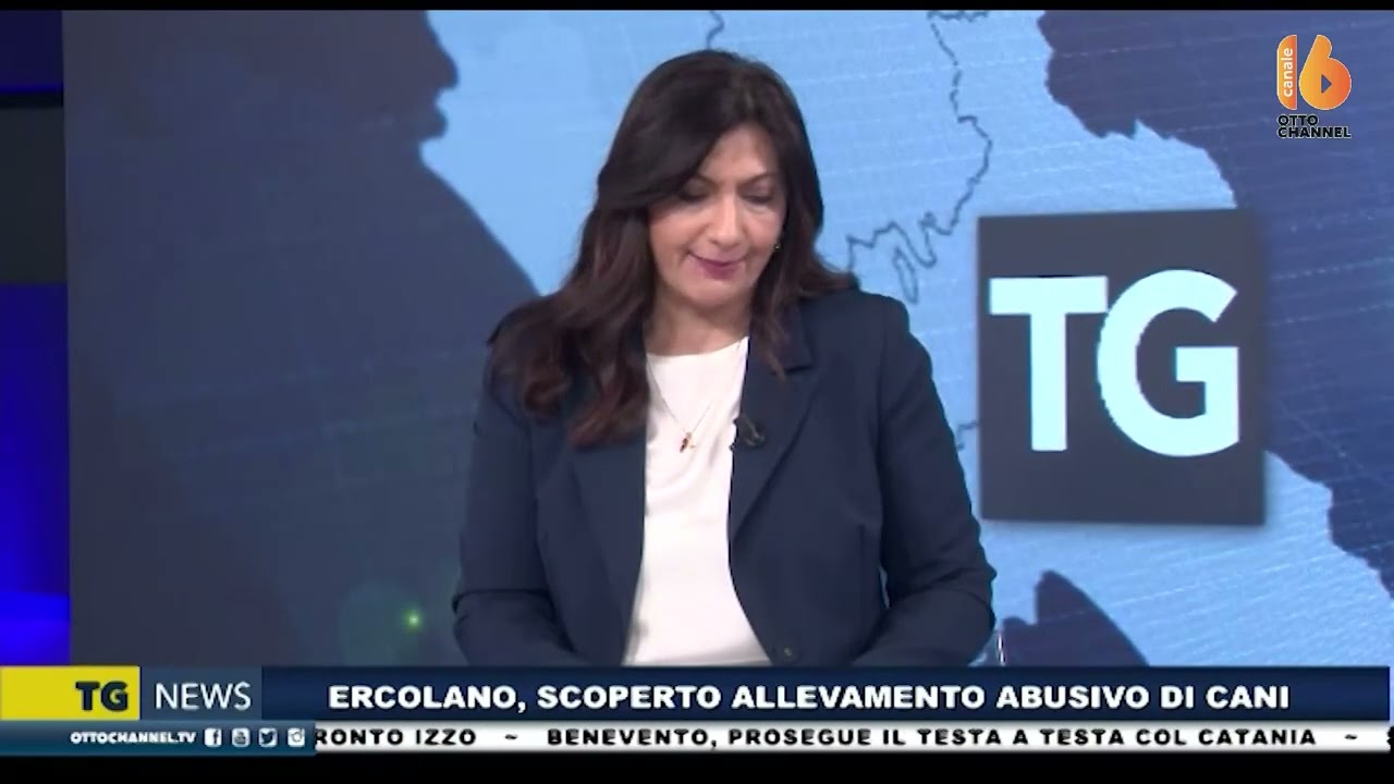 Tg news 26 gennaio 2026 - ore 13:45