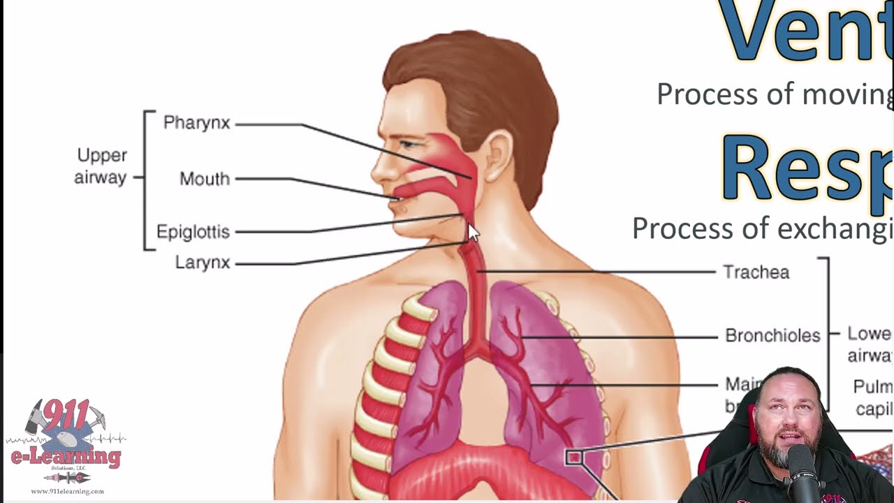 Kellyology - Respiratory Review