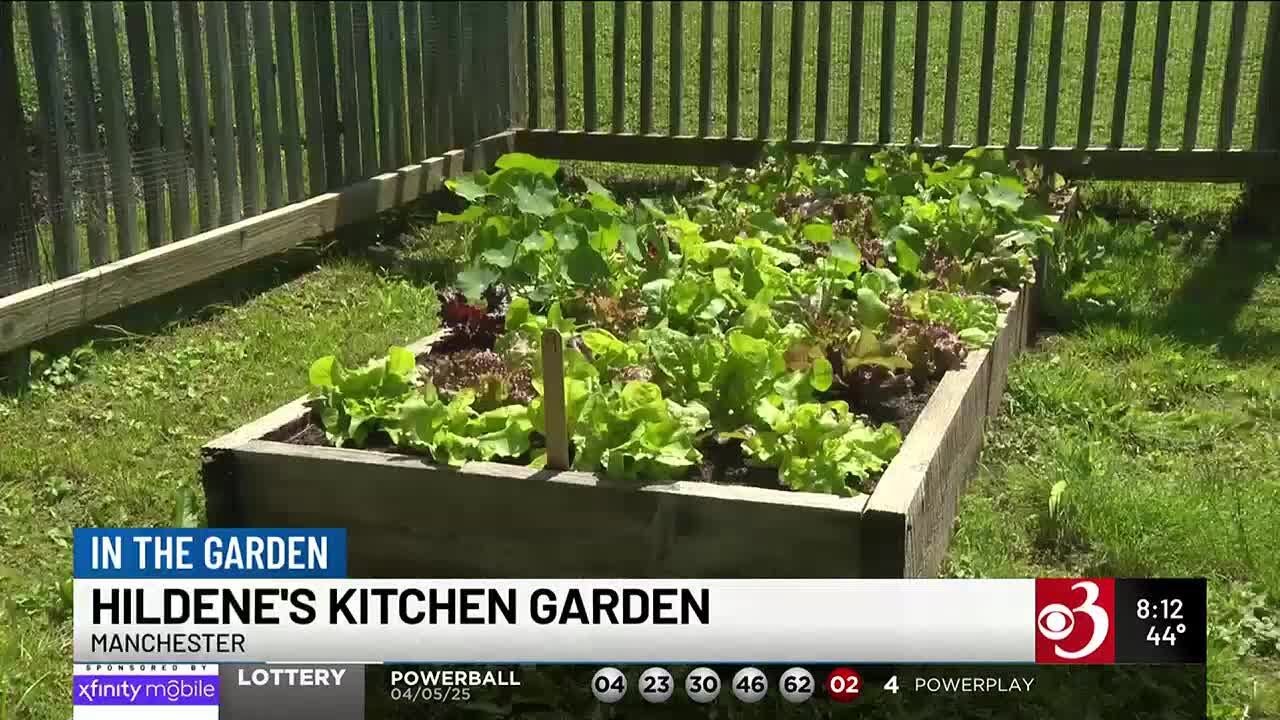 In The Garden: Hildene's Kitchen Garden